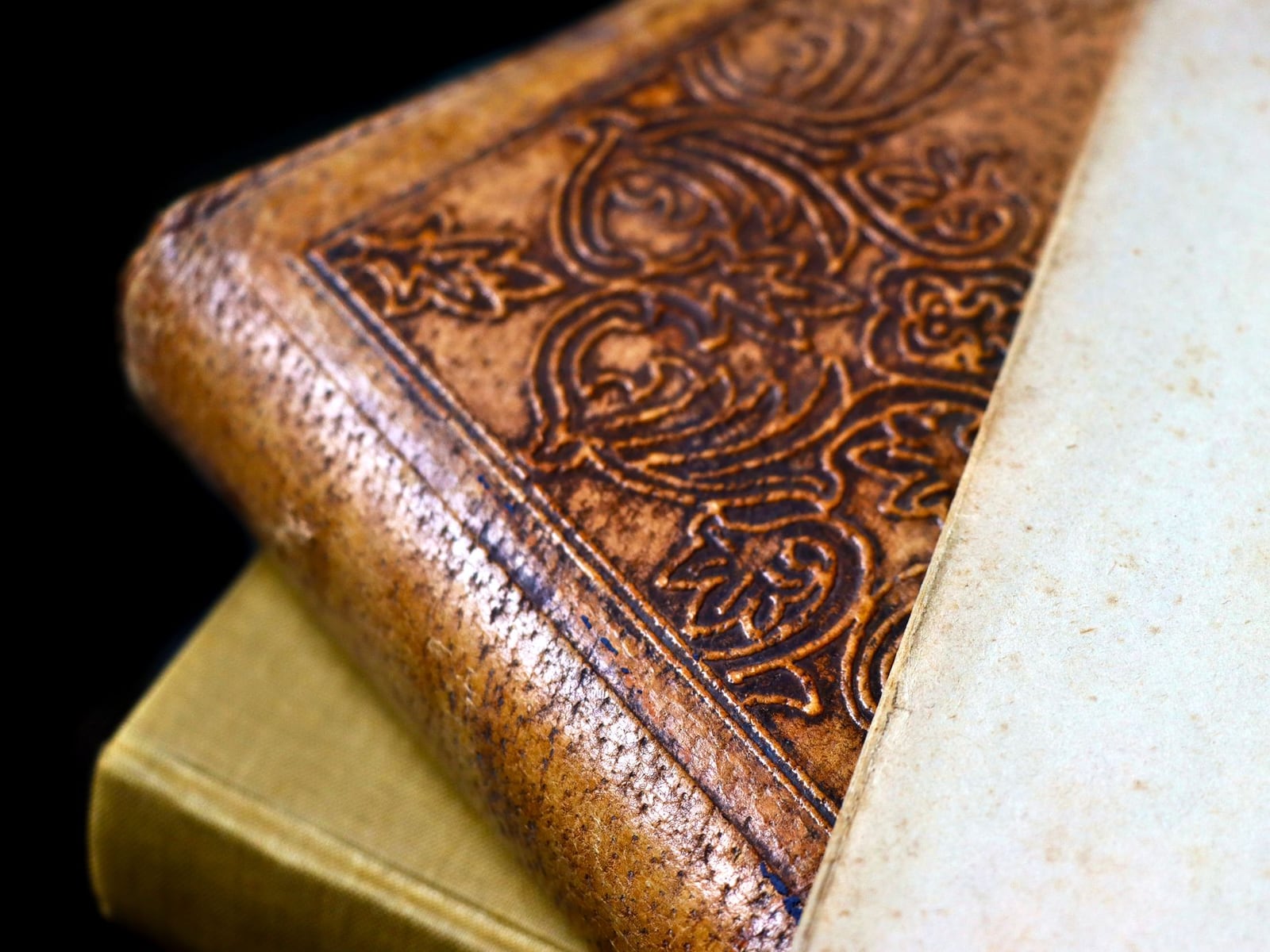 Nahaufnahme eines handgebundenen Buches mit dunkelblauem Leinenband und Goldprägung am Rücken.